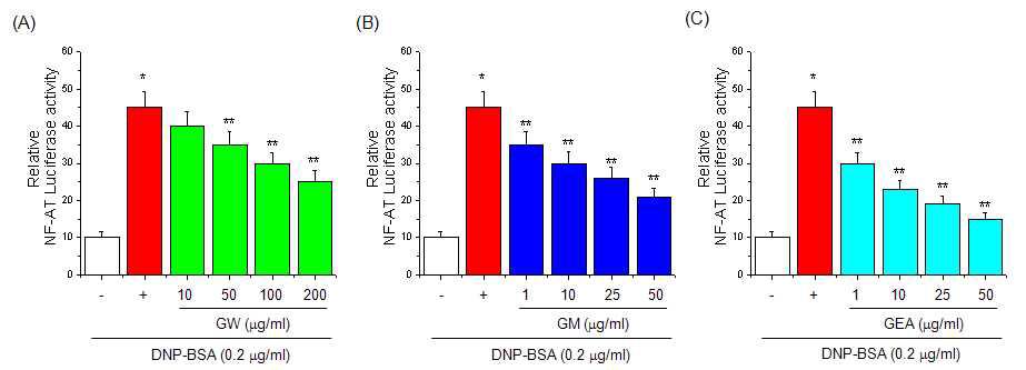 Effect of guava on NF-AT luciferase activity in RBL-2H3 cells