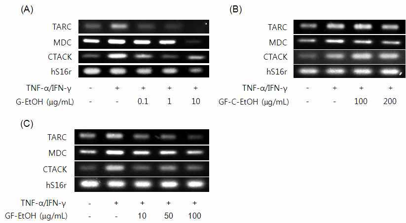 Effects of G-EtOH, GF-C-EtOH or GF-EtOH on Th2 chemokine mRNA expression.