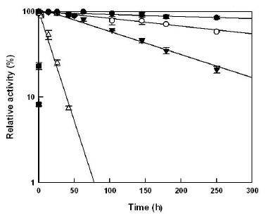 Thermal inactivation of the L-arabinose producing activity at the optimal unit ratio (3 : 1 of CSabn:CSabf) from C. saccharolyticus. Temperatures are 65 (●), 70 (○), 75 (▼), 80 (△) and 85℃ (■).