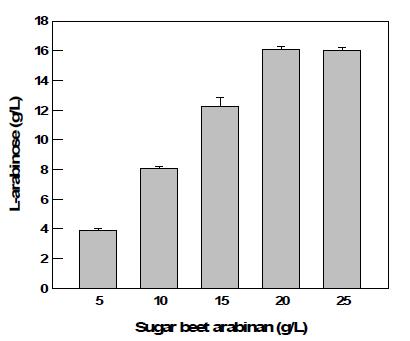 Effect of sugar beet arabinan concentration on the L-arabinose production by immobilized enzymes.