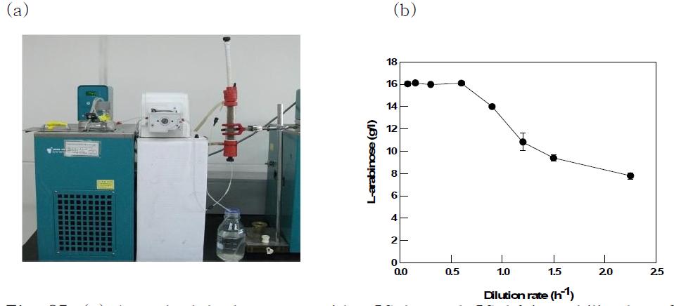 (a) A packed-bed reactor with CSabn and CSabf immobilized on Duolite A568 (b) Effect of dilution rate on L-arabinose production in a packed bed reactor.