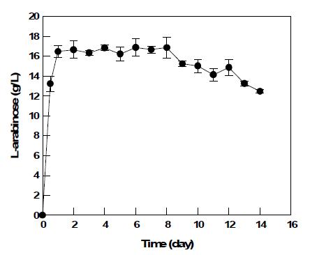 Continuos L-arabinose production from sugar beet arabinan in a packed bed reactor at dilution rate of 0.6 h-1.