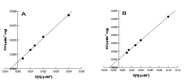 Lineweaver-Burk plots of GTAI double-site mutant enzyme for (a) L-arabinose and (b) L-ribulose.