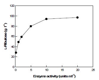 Effect of enzyme activity on L-ribulose production.