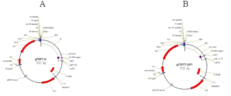 pFRPT-AI vector map. b FRPT-MPI vector map.