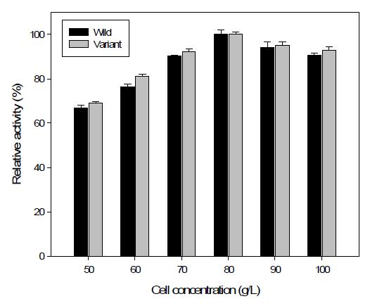 Effect of concentration of immobilized enzyme.Wild-black, Variant-gray.