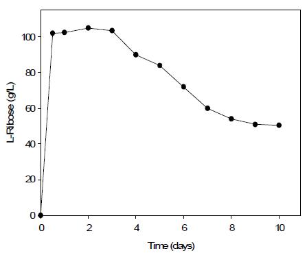 Long-term operation of L-ribose production in a packed-bed reactor