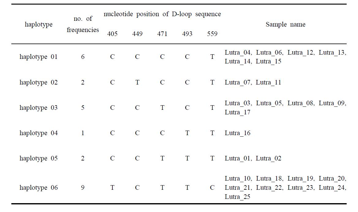 수달 D-loop 지역 분석 결과를 이용한 haplotype 추정 결과