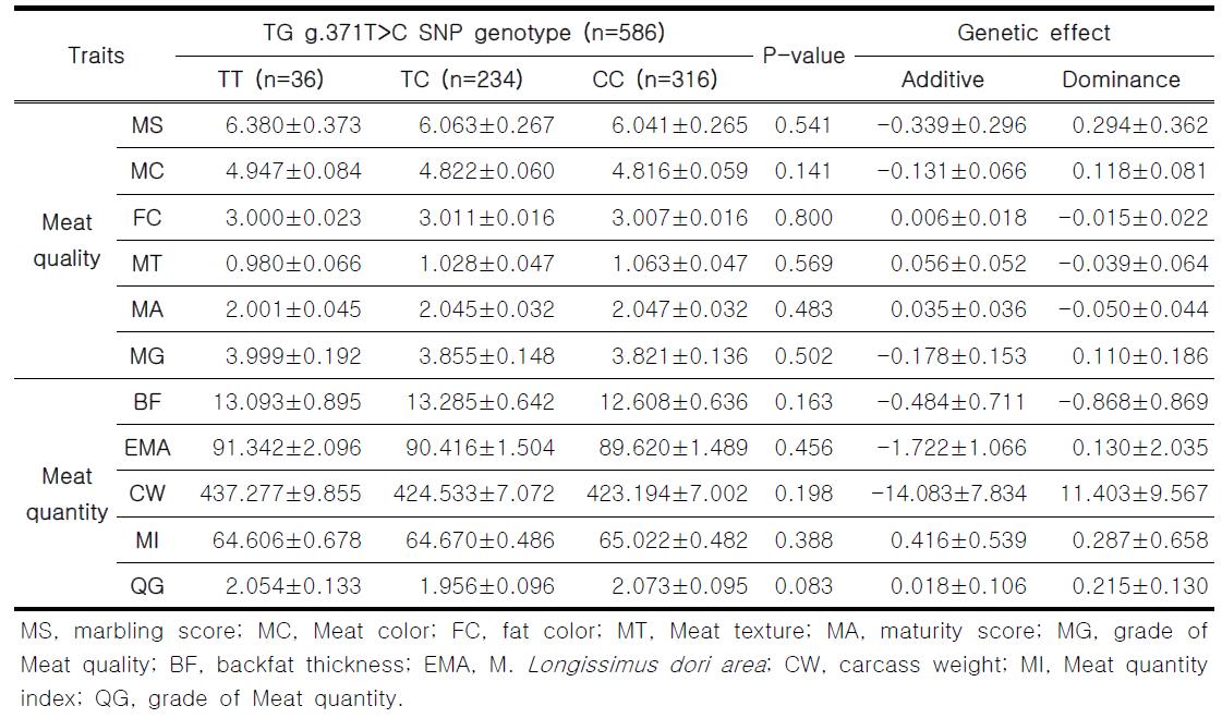 TG g.371T>C SNP 유전자형과 한우 검정집단 도체성적과의 연관성 통계분석
