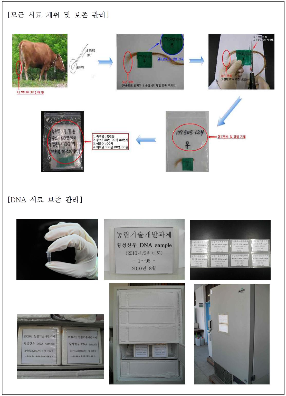 농가현장 시험축군의 모근 시료 및 DNA 시료 보존 관리 현황