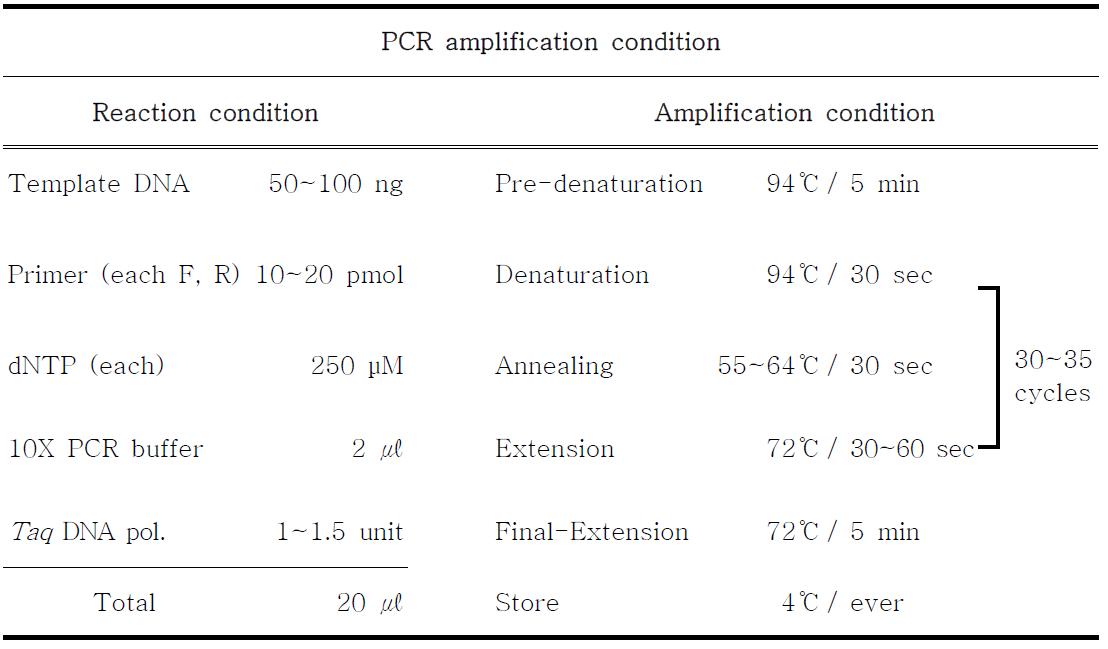 PCR 반응액 조성 및 증폭 조건