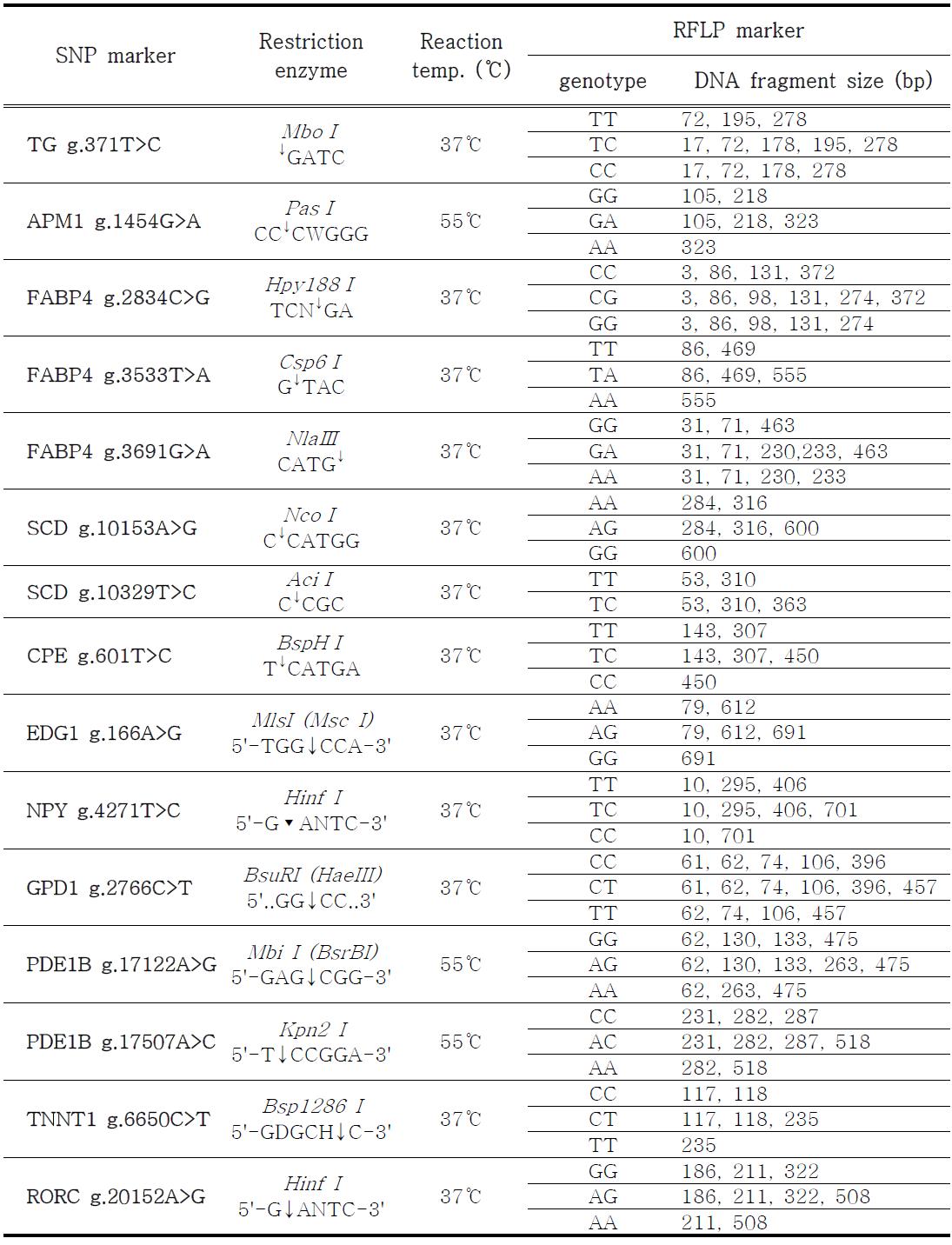 PCR-RFLP 분석을 위한 제한효소 정보 및 유전자형별 RFLP marker 단편크기