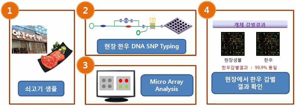 현장 검증 위한 휴대용 한우 유전자 분석 시스템 개략도