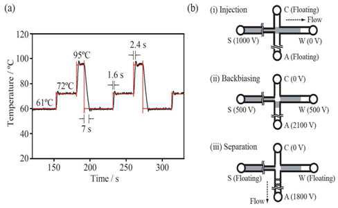(a) Micro PCR-CE 디바이스의 PCR thermal cycling profile, (b) 증폭된 DNA 분리를 위한 Micro CE채널에서의 전기영동 단계