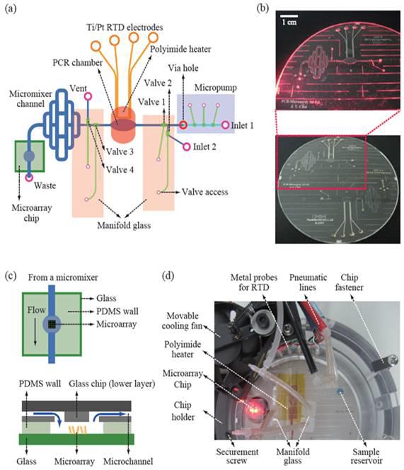 (a) 통합 시스템과 연계하기 위한 PCR-Microarray 개념도, (b) PCR-Microarray chip 사진, (c) Microarray 기판의 칩과의 연계 부분, (d) 통합시스템과 연계하기 위한 Chip assemble