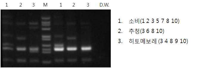 Muliplex PCR을 이용한 쌀 품종의 SNP 서열 증폭