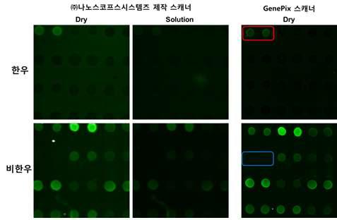 Dry상태와 solution상태 칩 표면의 형광 검출 비교