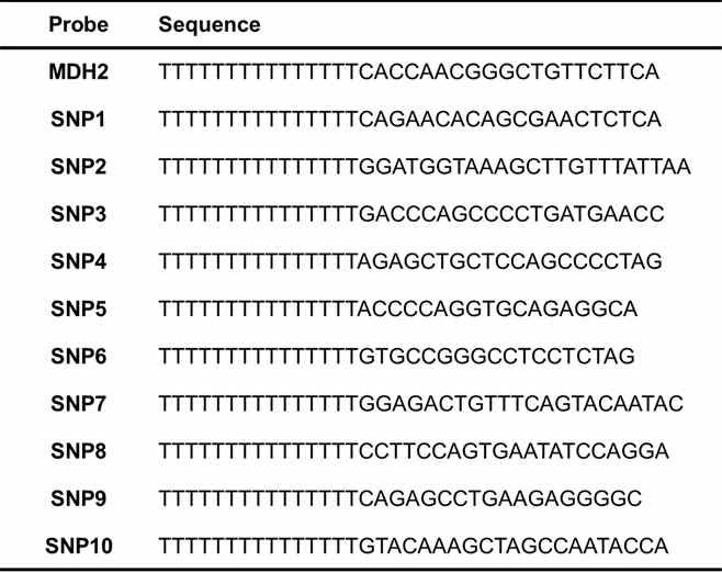 한우판별 DNA 마이크로 어레이 칩을 위한 probe 서열