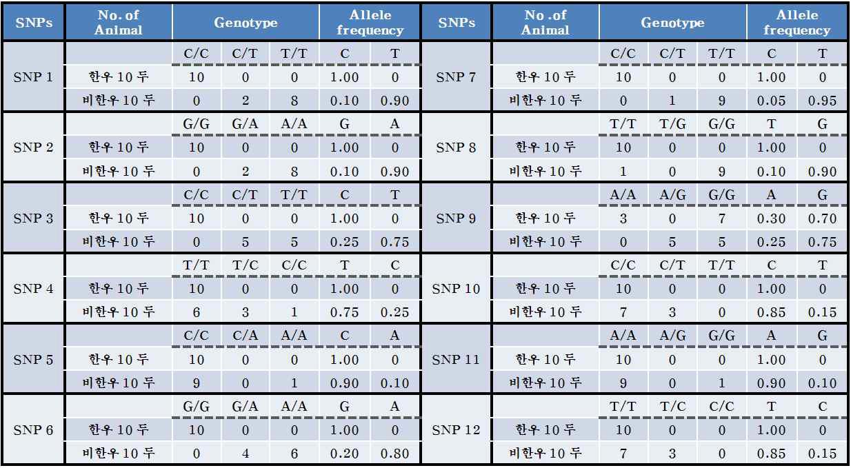 후보 SNP marker 선별을 위한 1차 genotyping 결과 정리