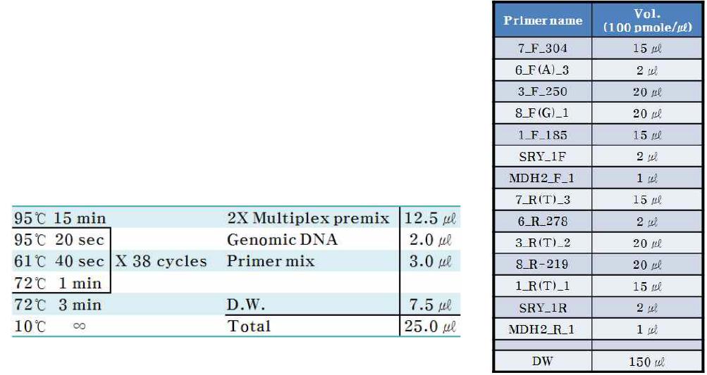 최적화된 Multiplex PCR 조건과 조성