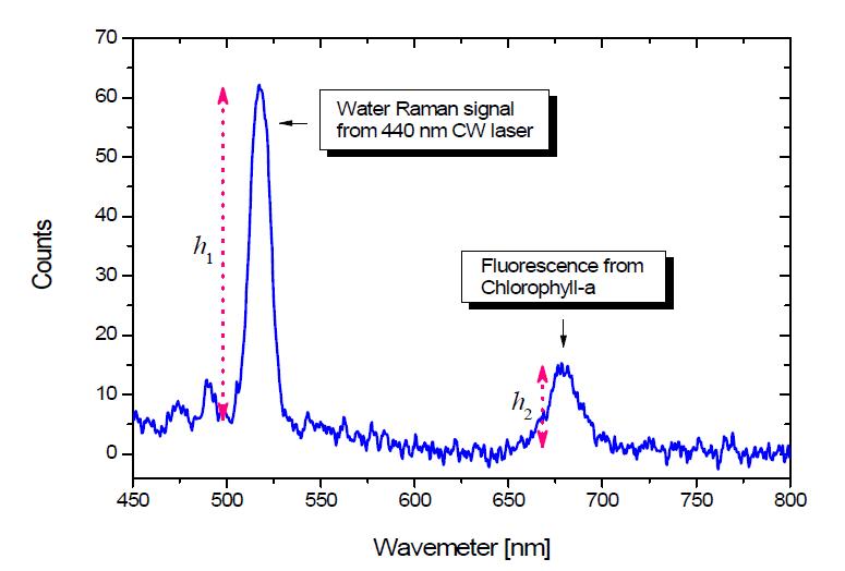 연속발진 레이저(440 nm)를 해수에 조사하여 얻어지는 분광 스펙트럼