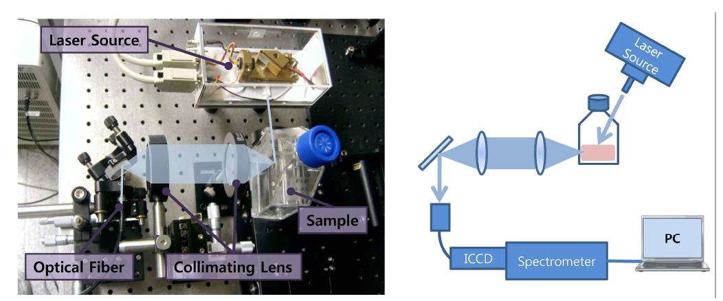 397 nm 반도체 레이저 광원을 이용한 적조 분광 실험 셋업