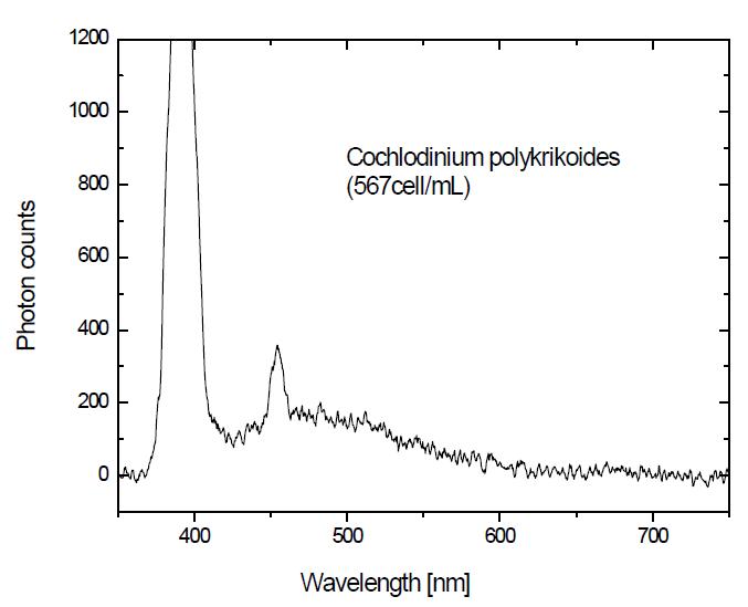 적조 Cochlodinium polykrikoides에 대한 형광 스펙트럼