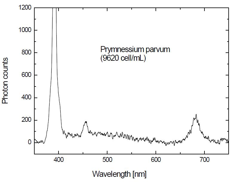 Prymnessium parvum에 대한 형광 스펙트럼