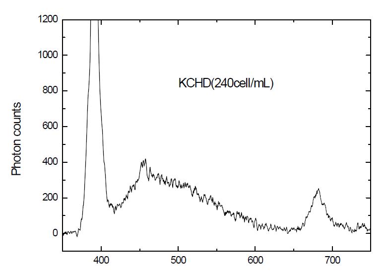 KCHD에 대한 형광 스펙트럼
