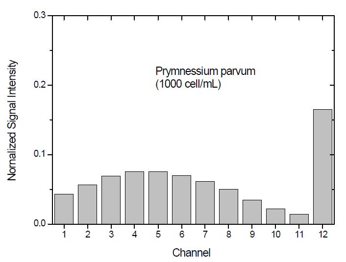 적조 미생물 Prymnessium parvum의 기준 신호