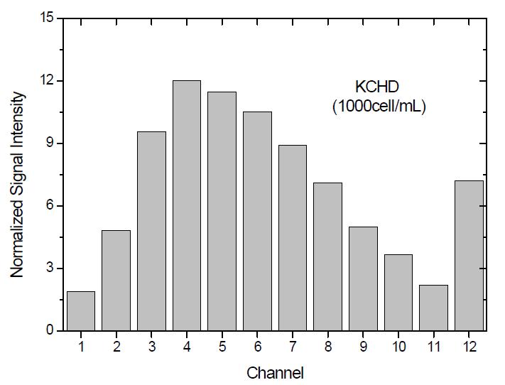 적조 미생물 KCHD의 기준 신호