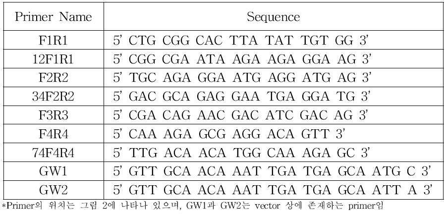 HPV 클론의 염기서열 분석에 이용된 primer와 염기서열