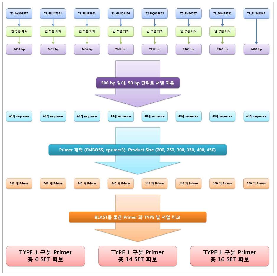 HPV 유전자형에 따른 프라이머 제작 과정