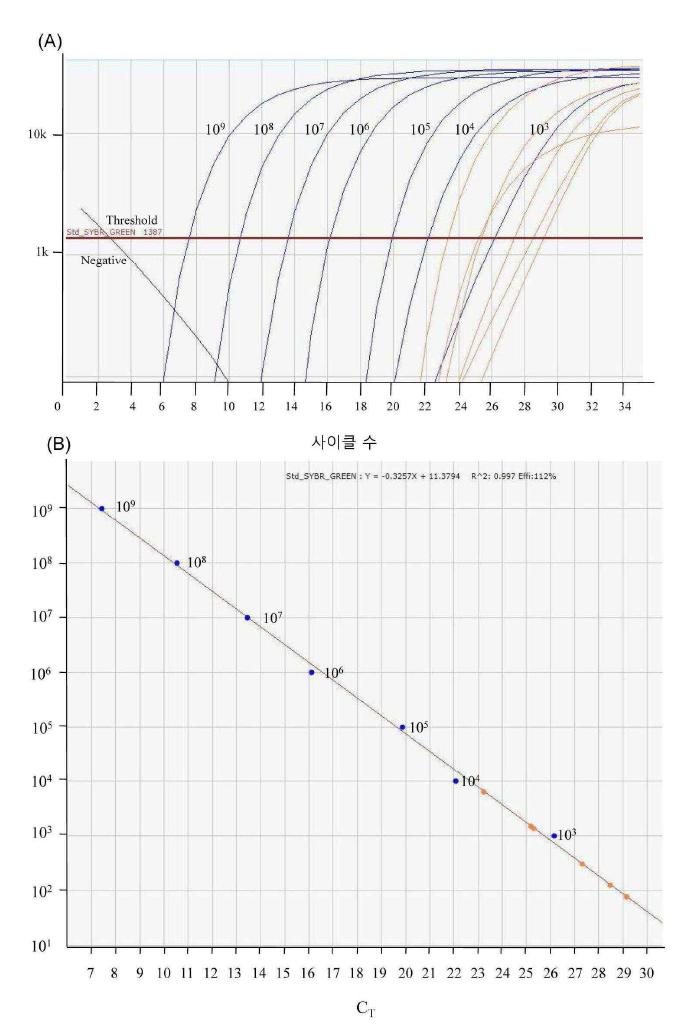 Green Star qRT-PCR 키트를 이용한 결과