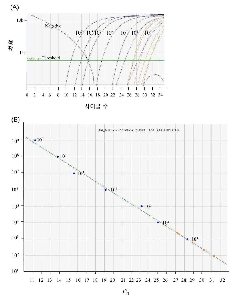 Dual Star qRT-PCR 키트를 이용한 표준 플라스미드와 샘플 증폭 곡선 분석 (A) 및 표준 플라스미드와 샘플 표준 곡선 분석(B).