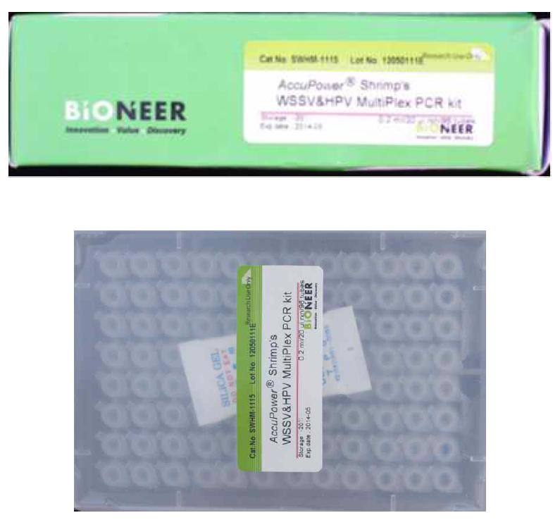 본 연구를 통하여 참여기업인 ㈜ 바이오니와 개발한 새우의 WSSV 및 HPV 중복감염 검출을 위한 WSSV & HPV multoplex PCR Kit