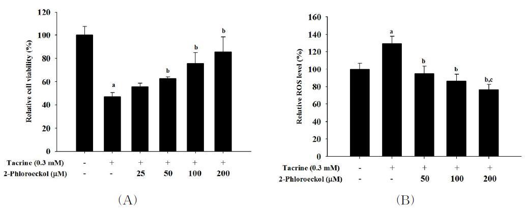 Hepatoprotective effect of 2-phloroeckol on tacrine-treated HepG2 cells.