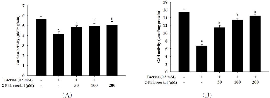 Effect of 2-phloroeckol on catalase and GST activities intacrine-treatedHepG2cels.Celswereco-treatedwith0.3mM tacrineandindicated