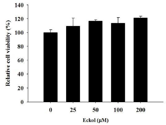 Cytotoxic effect of eckolin HepG2 cells.