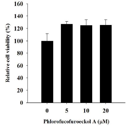 Cytotoxic effect ofphlorofucofuroeckol A in HepG2 cells.