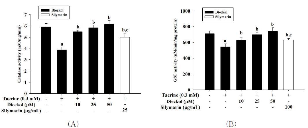 Effectofdieckolon catalase and GST activities in tacrine-treated HepG2cells.