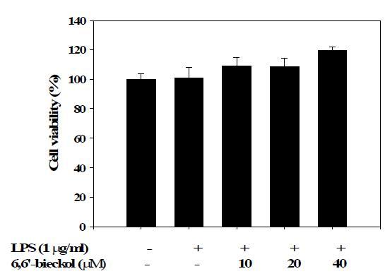 Effects of 6,6 -bieckolon thecellviability in LPS-treated BV2cells.