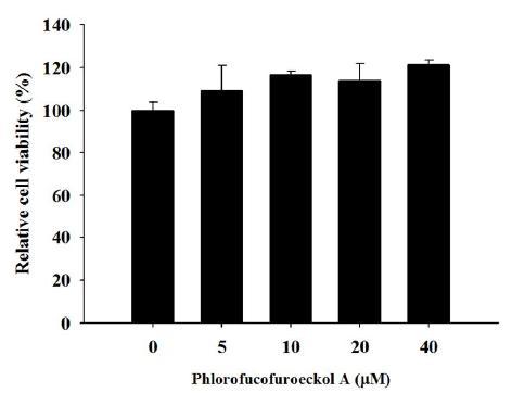 The Effect of phlorofucofuroeckol A on JB6 cell viability