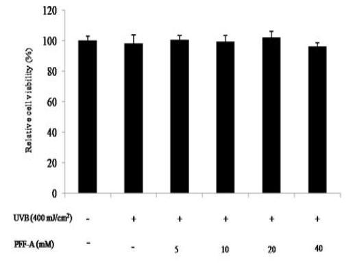 The Effect of phlorofucofuroeckol A on JB6 cell viability.