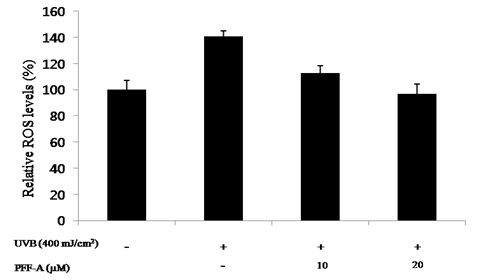 Treatment of JB6 cell with phlorofucofuroeckol A inhibits UVB-inducedROS