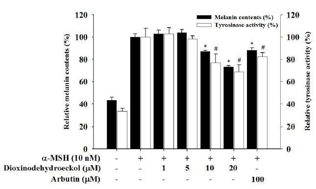 Effects of dioxinodehydroeckol on melanin content, tyrosinase activity,and melanogenicprotein and mRNA expressionsin B16F10cells