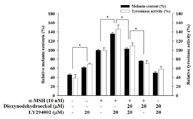 Effects of dioxinodehydroeckol on the melanin content and tyrosinase activity in B16F10 in the presence or absence of LY294002.