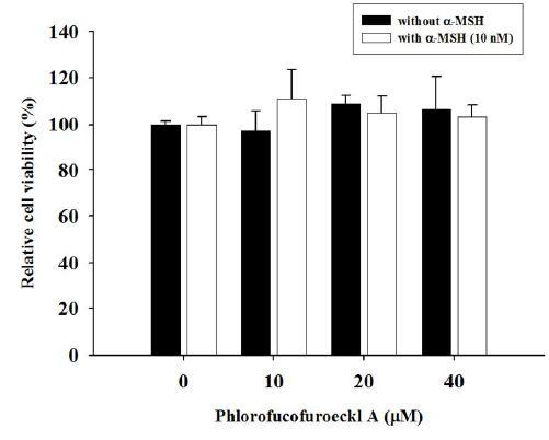 Effect of phlorofucofuroeckol A on the proliferation of B16cellsin the presence or absence of α-MSH.