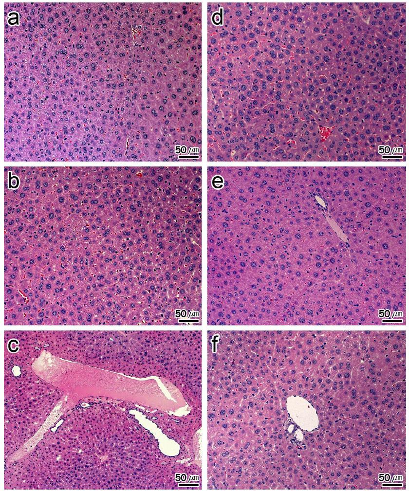 The effect of ethanolic extract and EtOAc fraction ofE.stolonifera on ICR mice.