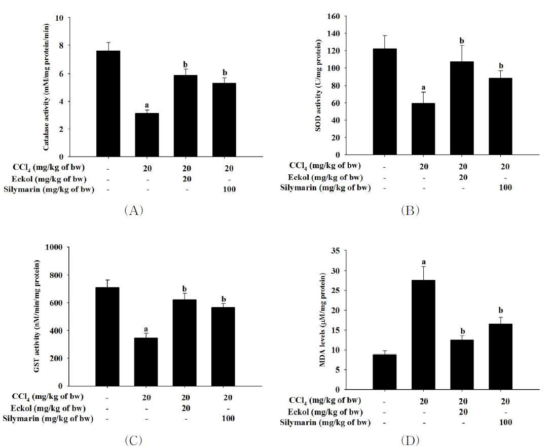 Effect of eckol on the hepatic enzymes activities and lipid peroxidation in CCl4-treatedmice